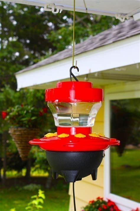 The Hummers Heated Delight is a heated hummingbird feeder that keeps the . . Battery operated heated hummingbird feeder